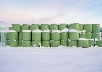 Bales of hay with snow, Burlington, WA