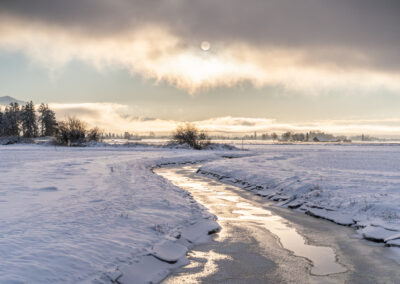 Frozen slough on the Farm to Market Rd just south of Edison, WA