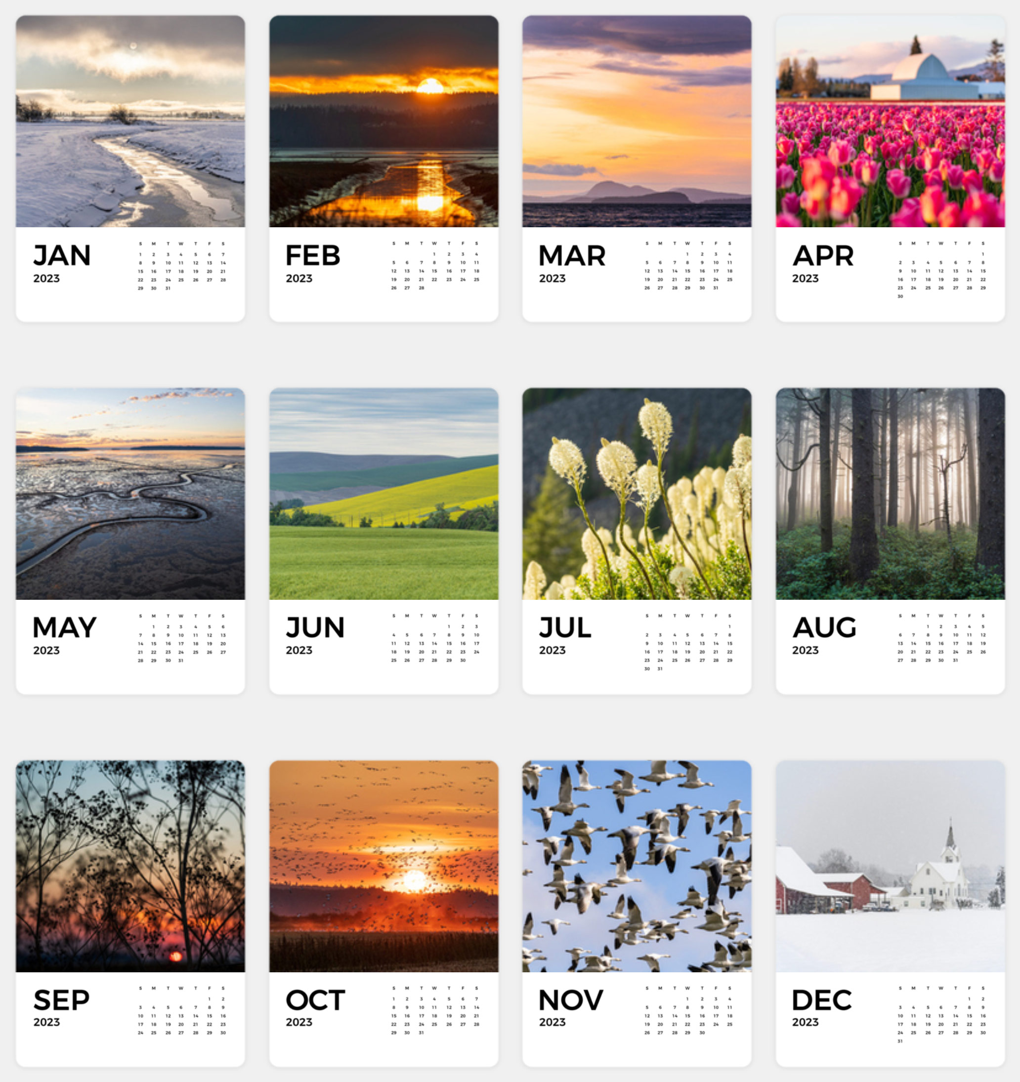 Grid of 12 months of images for 2023 calendar